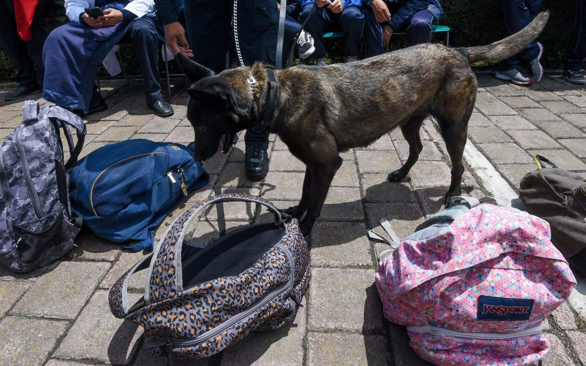 879551_Operativo Mochila con binomios caninos -4_web